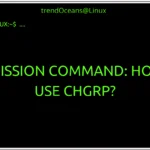 Permission Command: How to use chgrp?