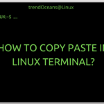 How to Copy Paste in Linux Terminal?