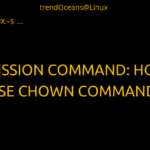 Permission Command: How to use chown command?