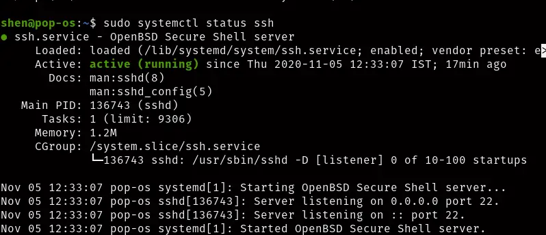  install OpenSSH server in Ubuntu : check status