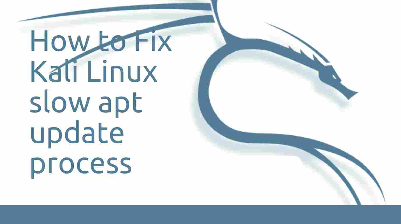 How to Fix Kali Linux slow apt update process