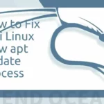 How to Fix Kali Linux Slow APT Update Speed