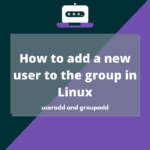 How to add a new user to the group in Linux