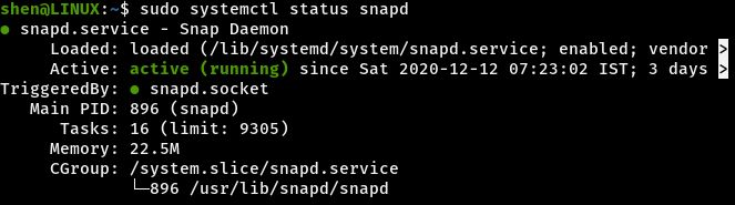 Install Discord on Ubuntu check snap status