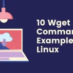 10 Wget Command Examples in Linux
