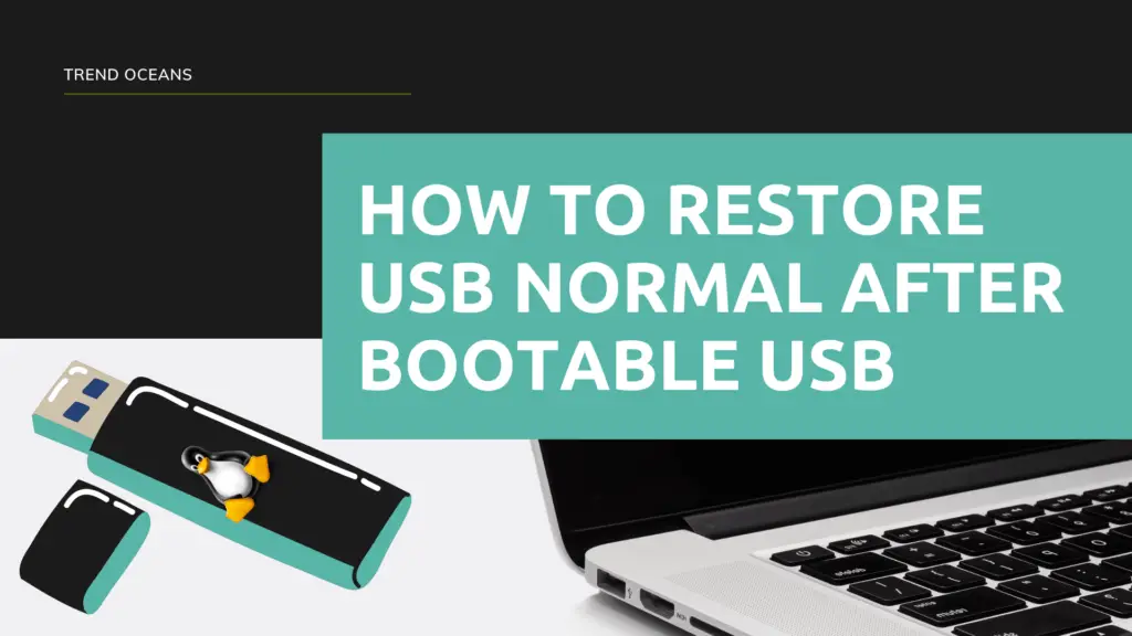 Read more about the article How to restore USB normal after bootable USB