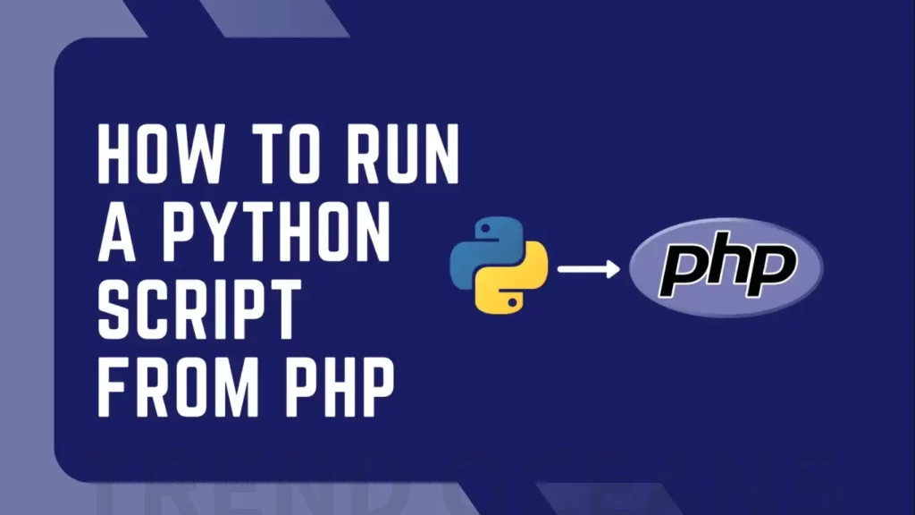 Read more about the article How to Run a Python Script from PHP