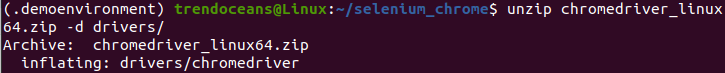 install chromedriver ubuntu