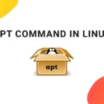 How to use APT Package Manager with Examples