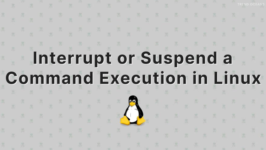 Read more about the article Interrupt or Suspend a Command Execution in Linux