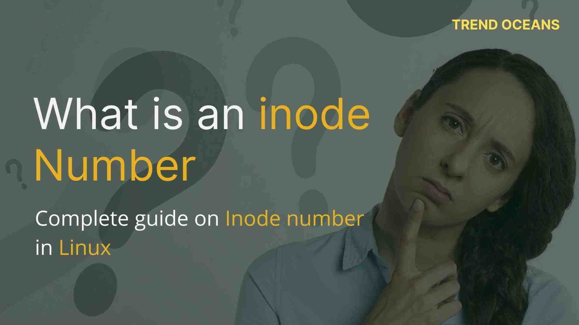 What is an inode number