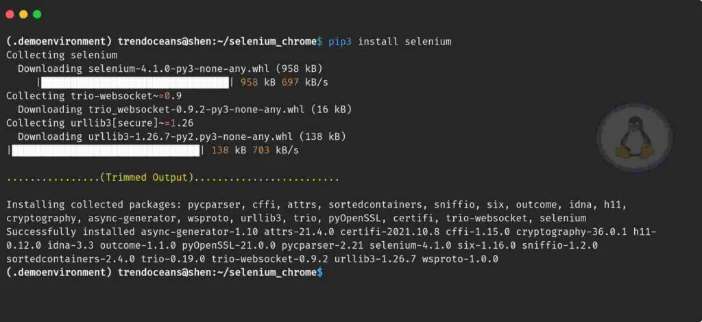 Install ChromeDriver Ubuntu Selenium with Python: Install Selenium