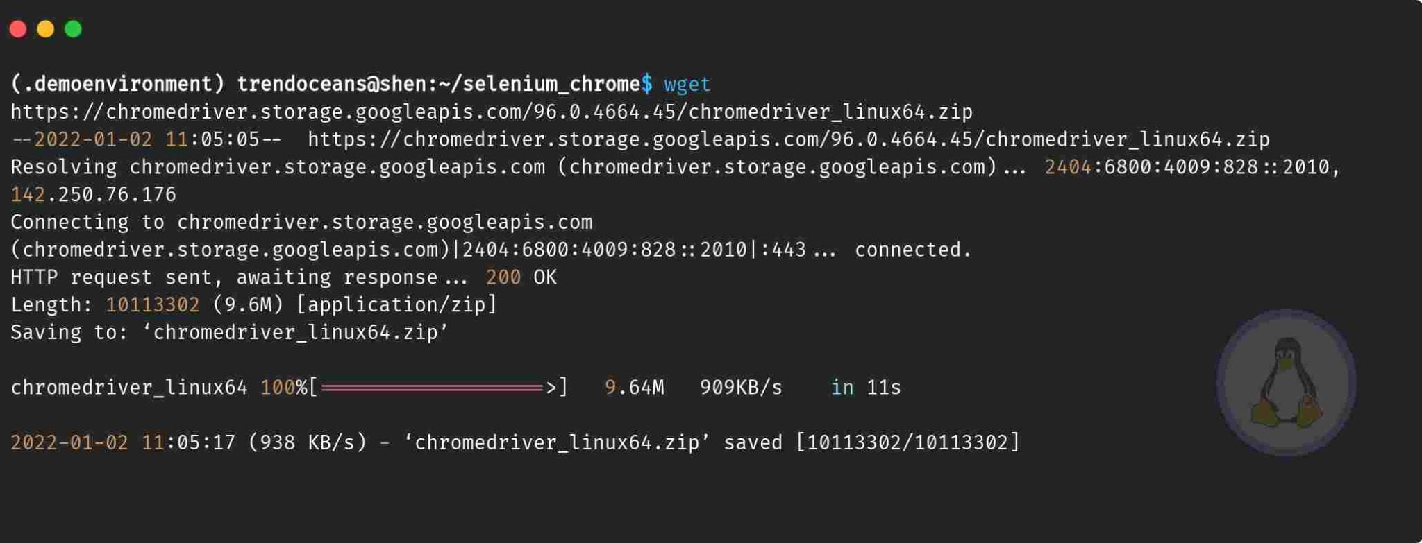 Как установить chromedriver ubuntu