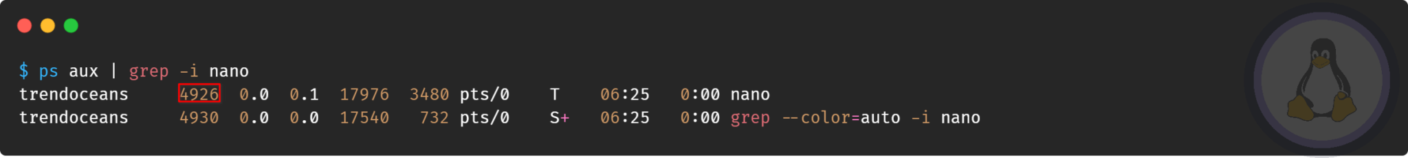 Interrupt or Suspend a Command Execution in Linux - TREND OCEANS