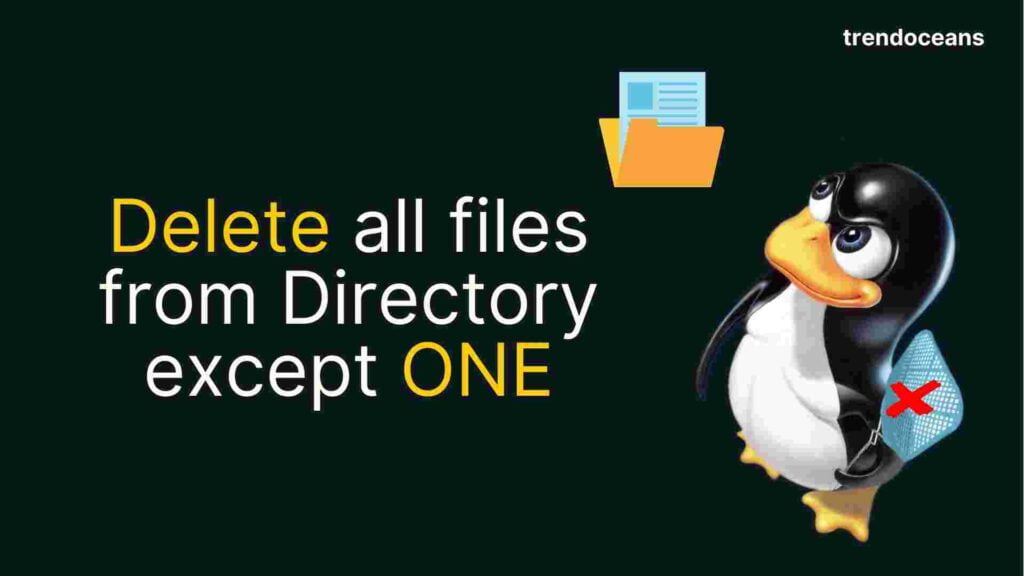Read more about the article How to delete all files from Directory except specific files