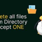 How to delete all files from Directory except specific files