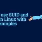 How to use SUID and SGID in Linux with examples