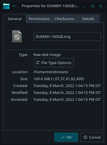 Create 100gb of dummy file in linux