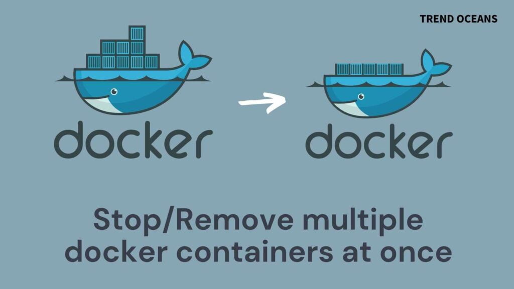 Read more about the article How to Stop/Remove multiple docker containers at once