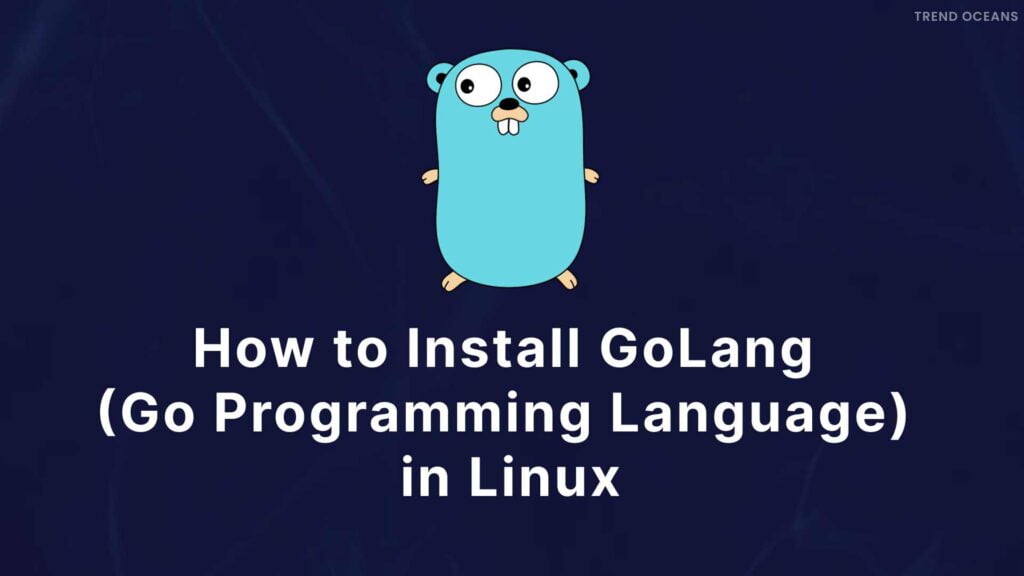 Read more about the article How to Install GoLang (Go Programming Language) in Ubuntu [5 Steps]