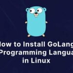 How to Install GoLang (Go Programming Language) in Ubuntu [5 Steps]