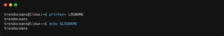 How to Set Environment Variables in Linux - TREND OCEANS