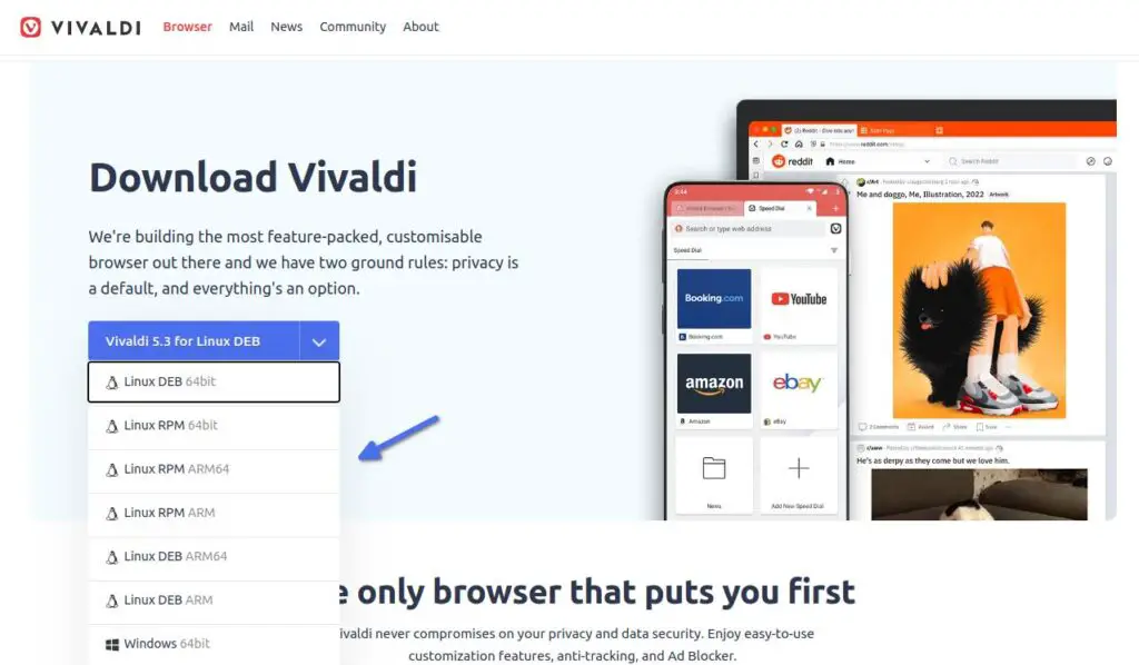 Download Vivaldi Browser package