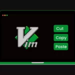 Cut, Copy, and Paste in Vim Editor