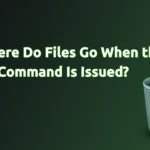 Where Do Files Go When the rm Command Is Executed?