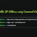 Display Public IP Address using Command-Line in Linux