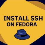 How to install and start an SSH server in Fedora 36