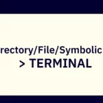 How do I Check if a Directory or File exists in a Bash Shell Script?