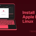 How to Install Apple Music Client Cider on Linux