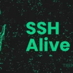 How to Keep SSH Terminal Session Alive in Linux