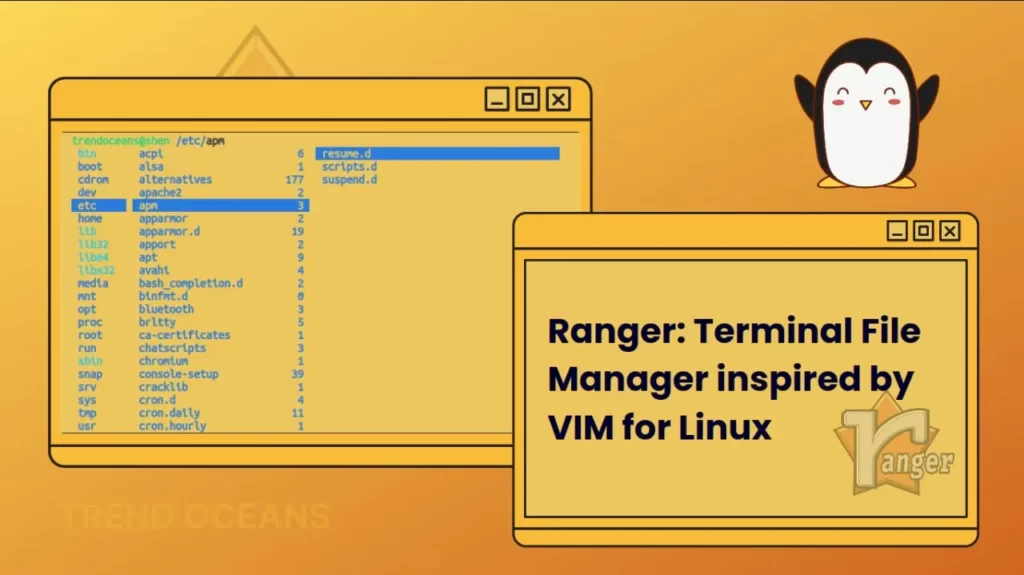 Read more about the article Ranger: Terminal File Manager inspired by VIM for Linux