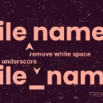 How to Remove White Space from the File Name in Linux