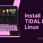 Tidal-hifi: Stream Music from Tidal on Linux System