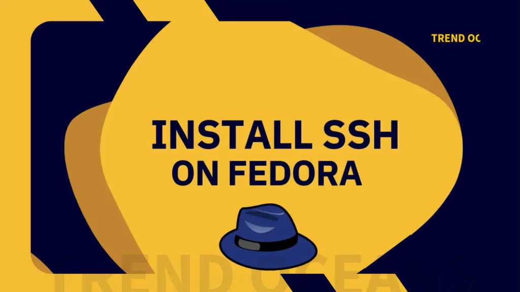 Read more about the article How to Install and Start an SSH Server in Fedora 38 and Later