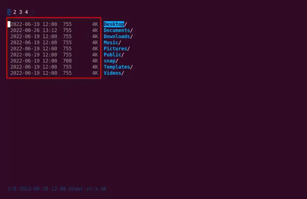 Expanding file details in nnn Terminal File Manager