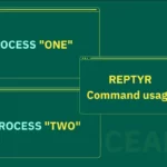 Reptyr: Move Working Process into Another Terminal Session without Closing in Linux