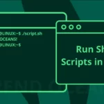 How to Run Shell Scripts in Linux [with Detailed Explanation for Beginners]