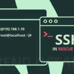 How to Enable SSH Service in Rescue Mode on CentOS/RockyLinux/AlmaLinux