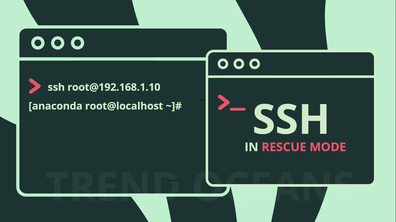 SSH in rescue mode