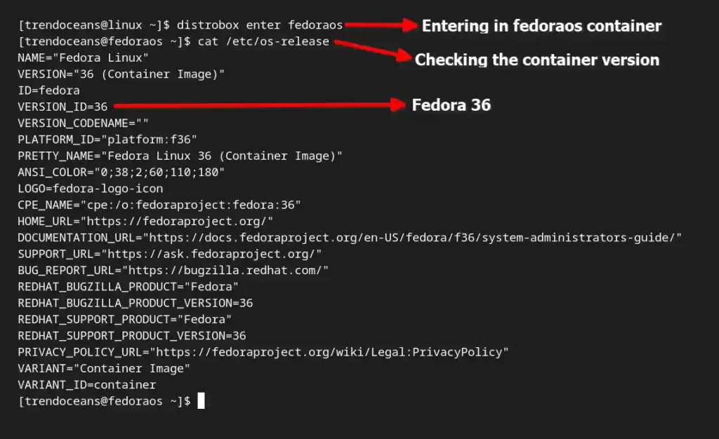 Entering and Checking the Distrobox Container Information