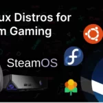 5 Linux Distros for Steam Gaming