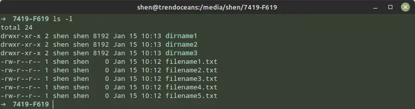 List the files using ls command