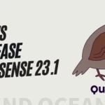 OPNsense 23.1 is released with the nickname “Quintessential Quail”