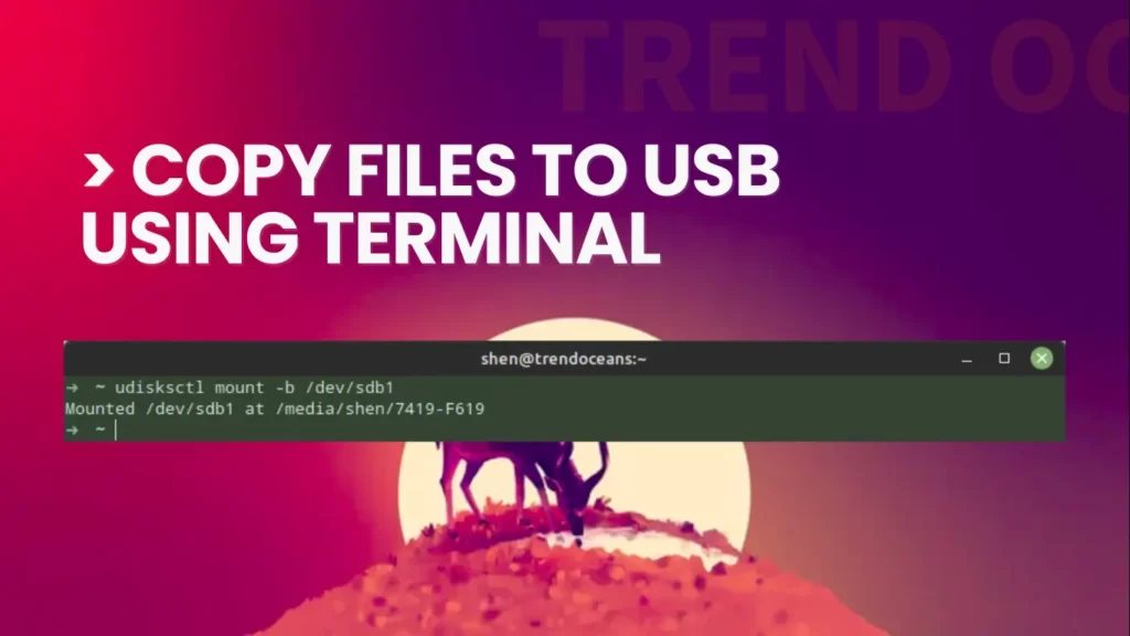 Read more about the article How to Copy Files to a USB Flash Drive Using the Terminal [TTY]