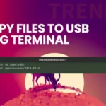 How to Copy Files to a USB Flash Drive Using the Terminal [TTY]
