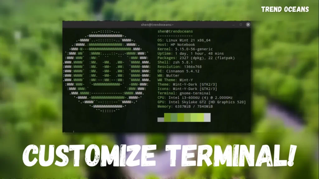 Read more about the article Learn how to Customise the Linux terminal to make it look awe!